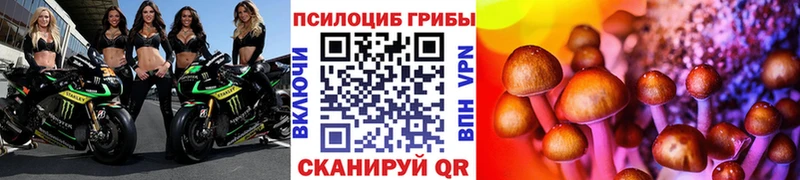 Галлюциногенные грибы прущие грибы  Гатчина 