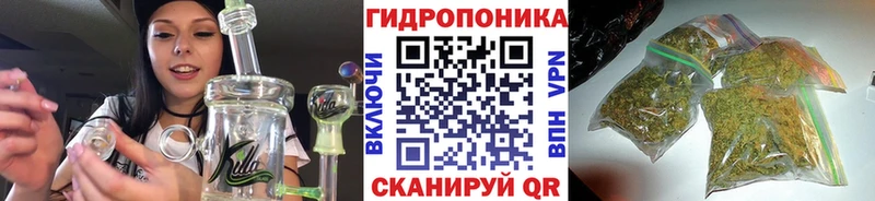 мориарти какой сайт  Гатчина  МАРИХУАНА марихуана  дарнет шоп 